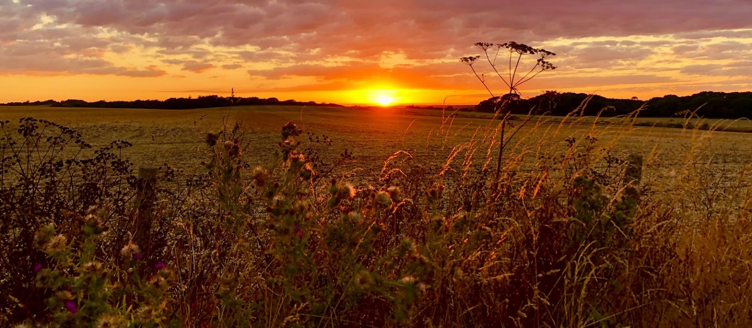 Taxi Carisbrooke and Gunville Isle of Wight Taxi Carisbrooke and Gunville Isle of Wight