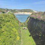 Bay Taxi Isle of Wight. 24 Hour Isle of Wight Taxi Service. Wheelchair Accessible and Pet Friendly