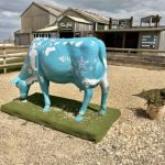 Bay Taxi Isle of Wight. 24 Hour Isle of Wight Taxi Service. Wheelchair Accessible and Pet Friendly
