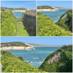Bay Taxi Isle of Wight. 24 Hour Isle of Wight Taxi Service. Wheelchair Accessible and Pet Friendly